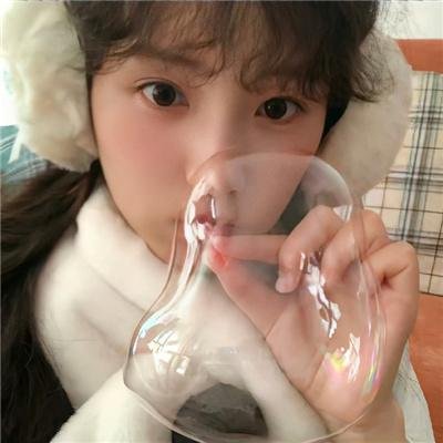做一只鸟真不容易